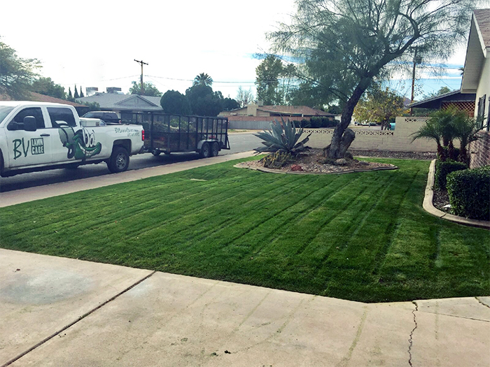 Residential-landscaping-service