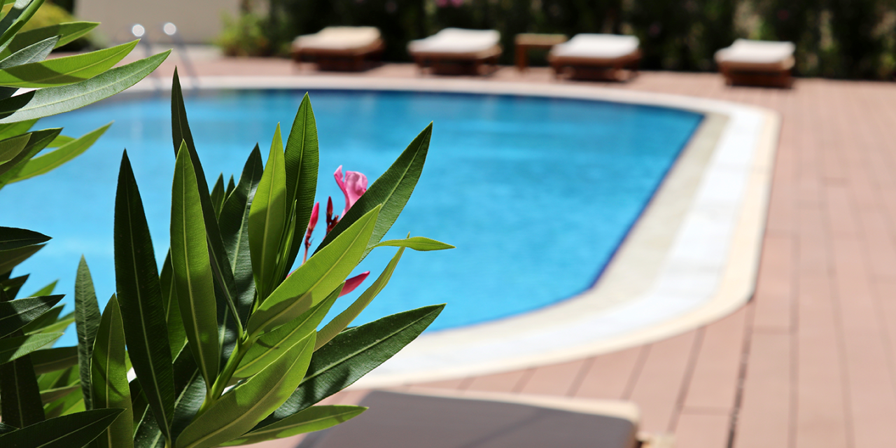 Poolside Potted Plants